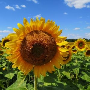 Meet your Posher, Michelle